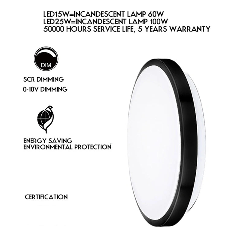 18W 12 Inch Stainless Steel Modern Dining Room Bedroom Ceiling Lights SY-C010