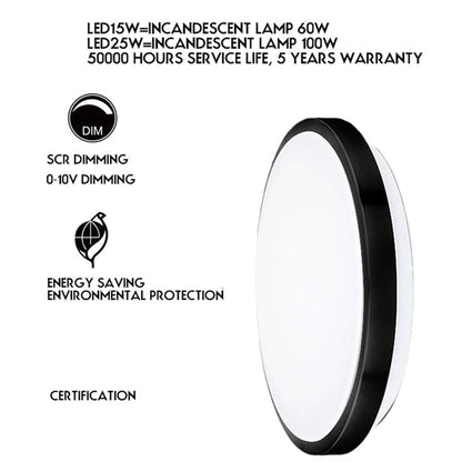 18W 12 Inch Stainless Steel Modern Dining Room Bedroom Ceiling Lights SY-C010