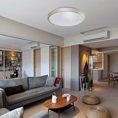 18W 12 Inch Stainless Steel Modern Dining Room Bedroom Ceiling Lights SY-C010