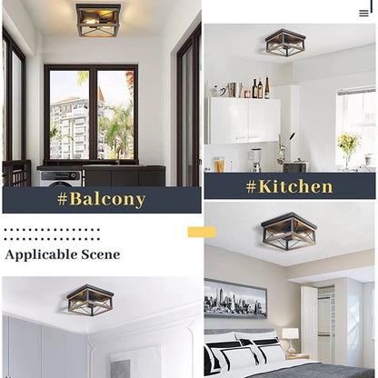 12 Inch 2 Lamps Large Dining Room Kitchen Ceiling Fixtures  SY-C005