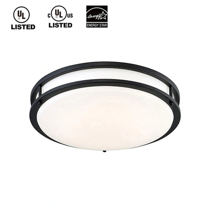 Dimmable Modern Led Ceiling Lights UL 10/12/14/16 Inch SY-C007